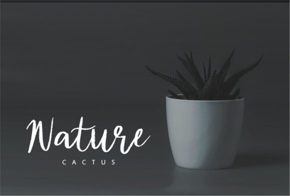 Diana Rough Font PNG with transparent background - Preview 3