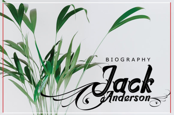 Dragonfly Script Font - Preview 2
