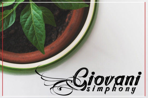 Dragonfly Script Font - Preview 3