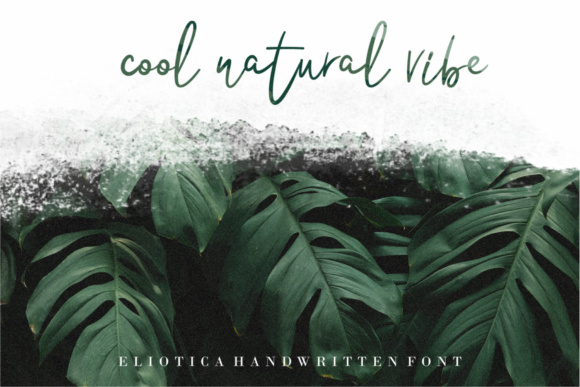 Eliotica Font - Preview 4