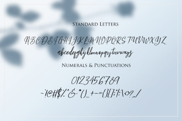 Fleur Bleue Font - Preview 6