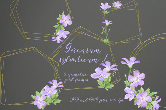 Geranium. 5 Geometric Gold Frames Gráfico Elementos Decorativos Por NataliArkushArt