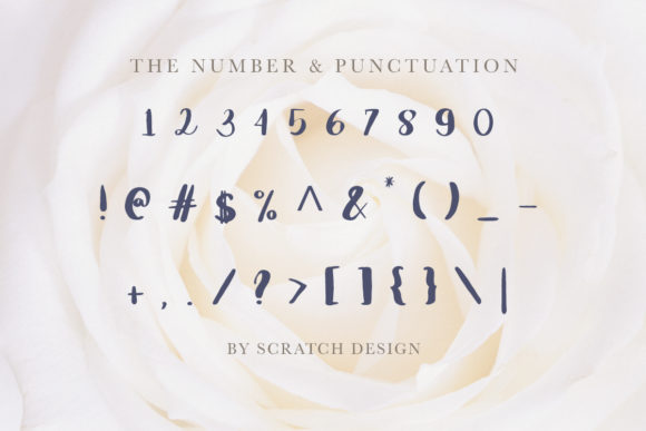 Griselda Font - Preview 3