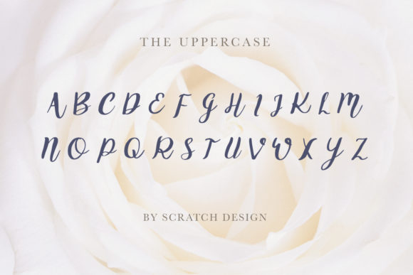 Griselda Font - Preview 1