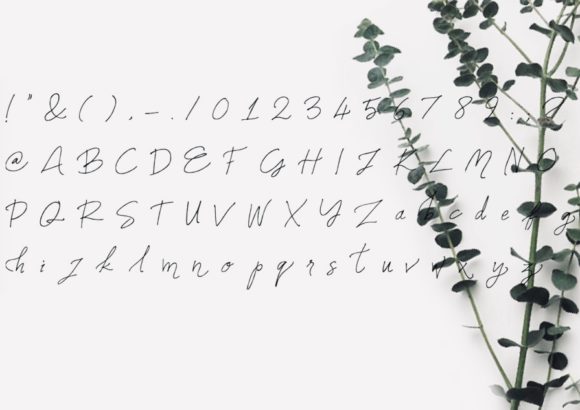 Names Font PNG with transparent background - Preview 1