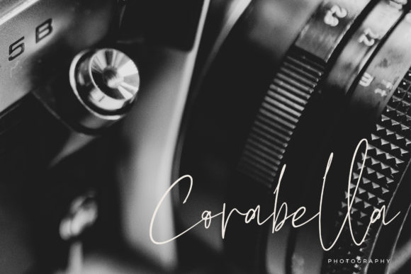 Oaklinn Script Font PNG with transparent background - Preview 4
