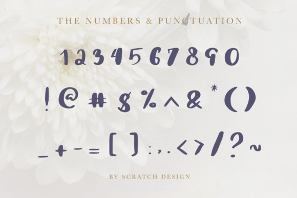 Rheydo Font PNG with transparent background - Preview 3