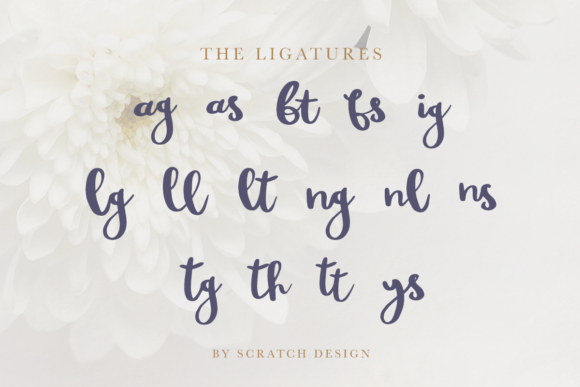 Rheydo Font PNG with transparent background - Preview 2