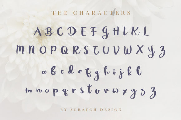 Rheydo Font PNG with transparent background - Preview 1