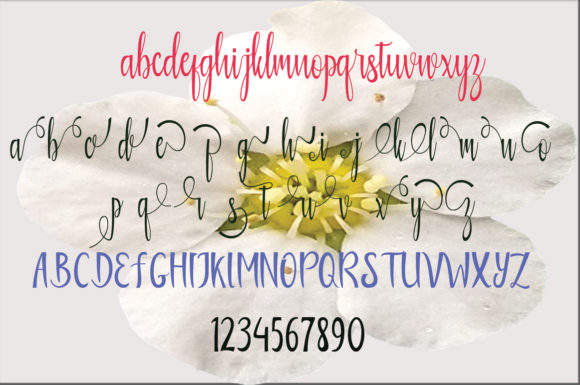 Amirul Font - Preview 3