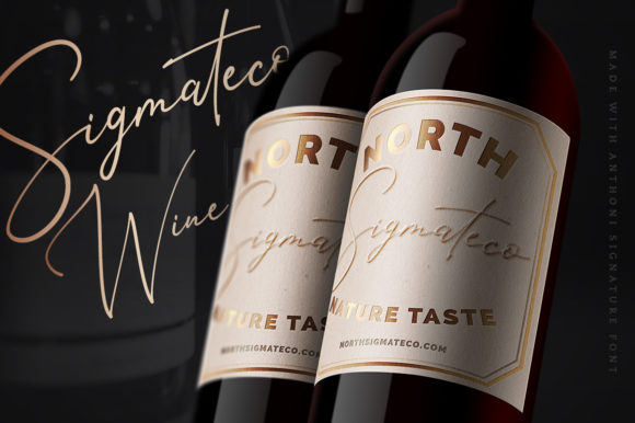Anthoni Signature Font - Preview 3