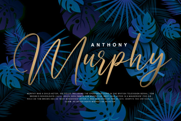 Arthemis Font - Preview 2
