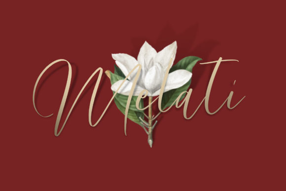 Arthemis Font - Preview 5