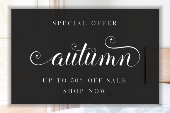 Balerina Script Font - Preview 1