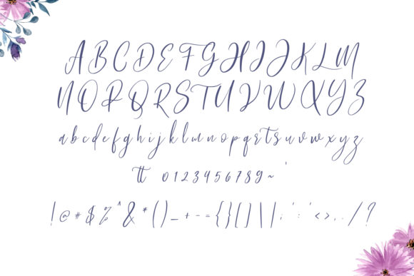 Bashira Font - Preview 1
