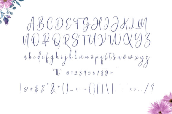 Bashira Font - Preview 2