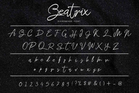 Beatrix Script Font - Preview 5