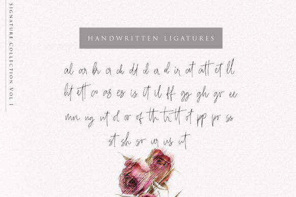 Beauty Signature Font - Preview 5