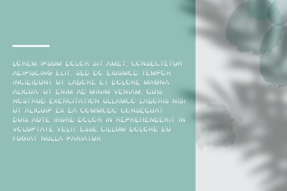 Bella Family Font - Preview 5