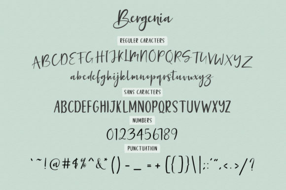 Bergenia Duo Font - Preview 5