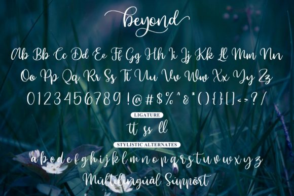 Beyond Font - Preview 6