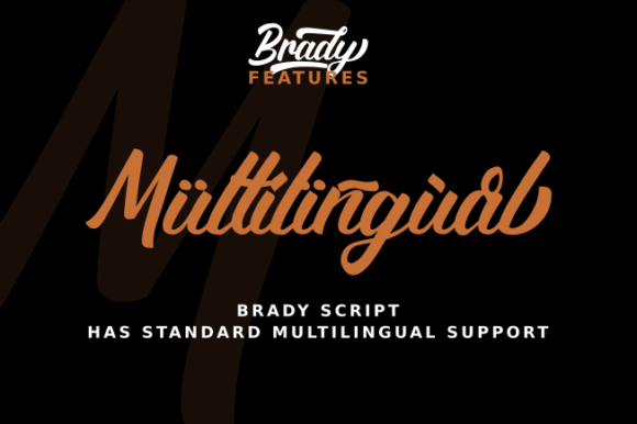 Brady Font - Preview 4
