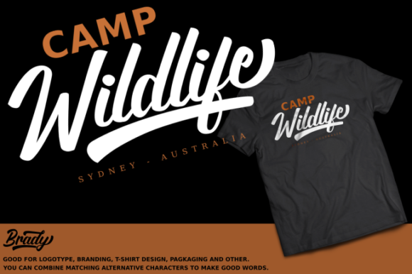 Brady Font - Preview 6
