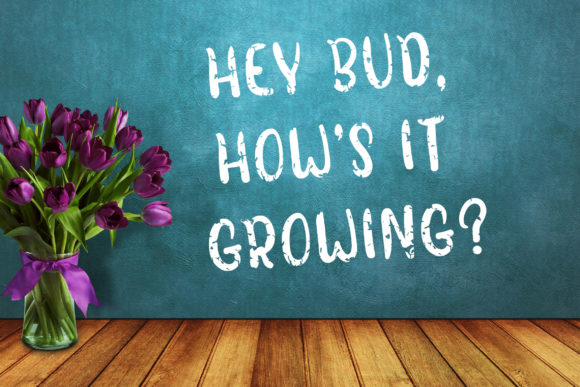 Broken Space Font PNG with transparent background - Preview 2