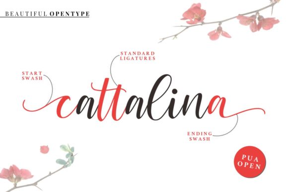 Cattalina Font - Preview 4
