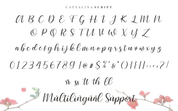 Cattalina Font - Preview 5