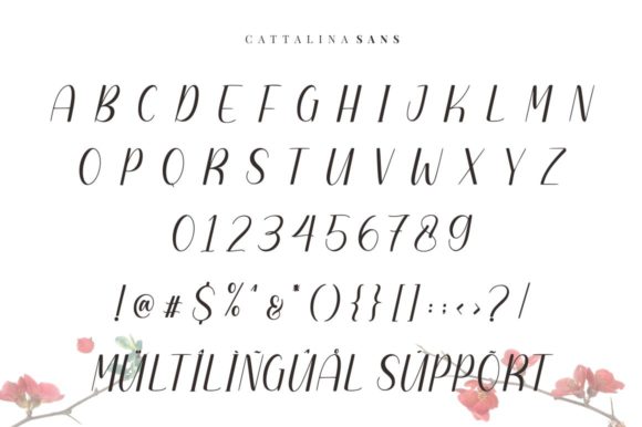 Cattalina Font - Preview 6