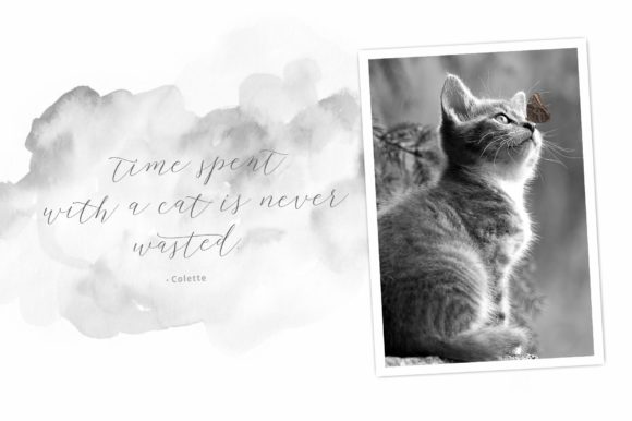 Chellaras Font - Preview 2