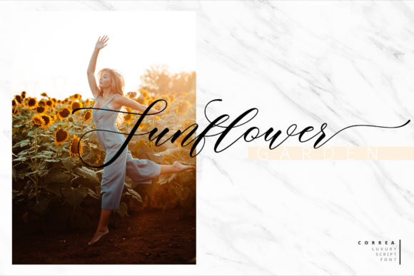 Correa Script Font - Preview 6