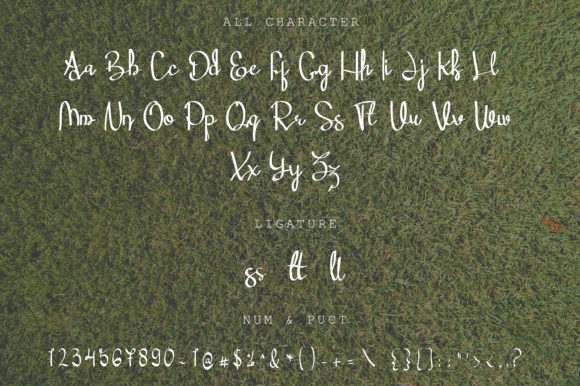 Ellen Scarlett Font - Preview 1
