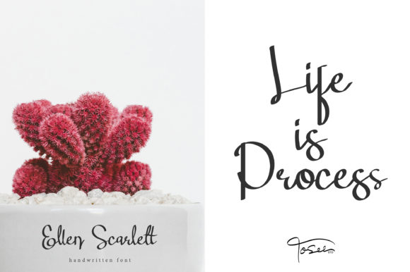 Ellen Scarlett Font - Preview 2