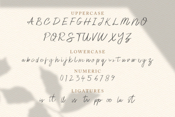Elliana Font - Preview 5