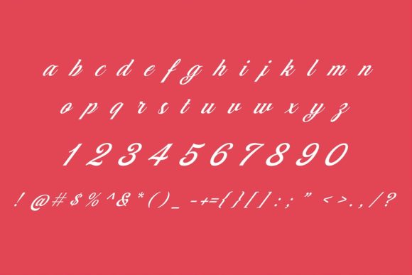 Emely Font - Preview 5