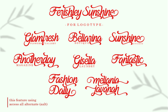 Ferishley Sunshine Font - Preview 3