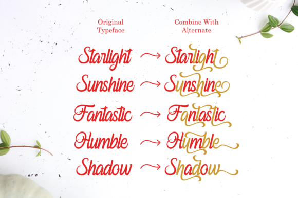 Ferishley Sunshine Font - Preview 4