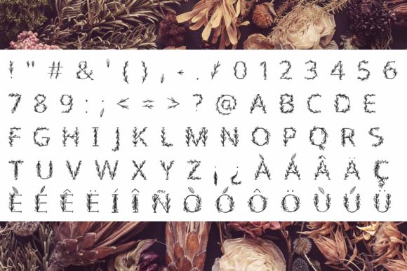 Floral Font - Preview 1