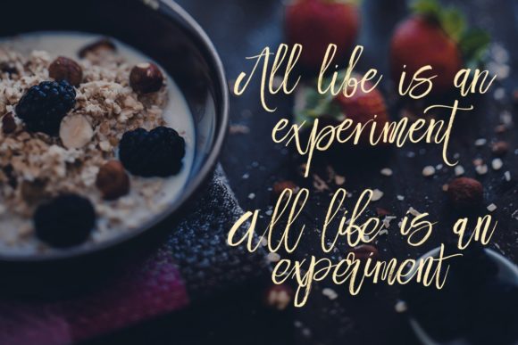 Fresh Font - Preview 4