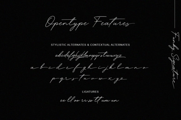 Funky Signature Font font preview - 6