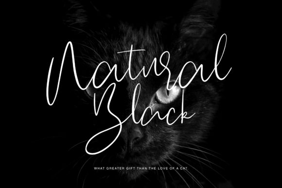 Hogart Script Font PNG with transparent background - Preview 5