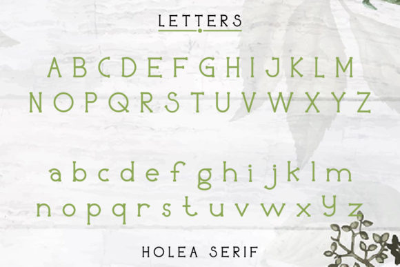 Holea Font PNG with transparent background - Preview 2