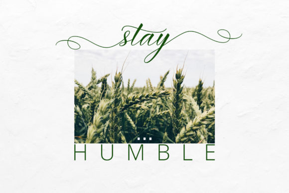 Imata Script Font PNG with transparent background - Preview 2