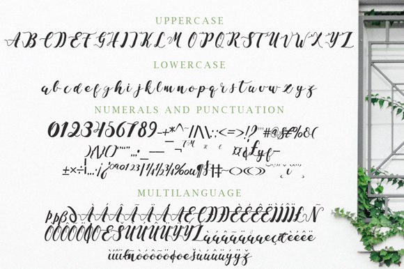 La Vi En Rose Font PNG with transparent background - Preview 1