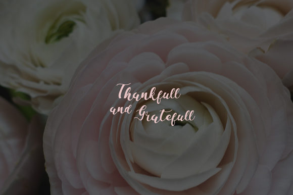 La Vi En Rose Font PNG with transparent background - Preview 6