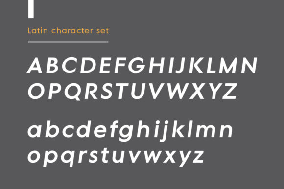 MD Grotesque Bold Italic Font PNG with transparent background - Preview 3