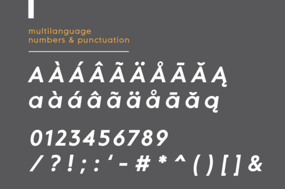 MD Grotesque Bold Italic Font PNG with transparent background - Preview 5