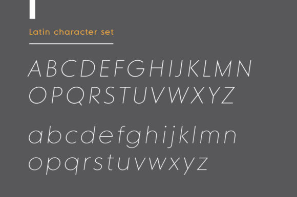 MD Grotesque Thin Italic Font PNG with transparent background - Preview 3